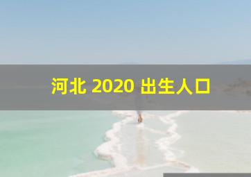 河北 2020 出生人口